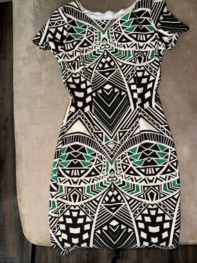 Presley Skye Dark Brown, White & Green Geometric Sheath Dress